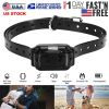 Dog Training Collar Receiver IP67 Waterproof  Adjustable Belt Rechargeable Without Remote Controller