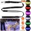 5FT Light Up Dog Leash LED Dog Leash with 9 Light Colors IPX7 Waterproof USB Rechargeable