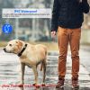 Dog Training Collar Receiver IP67 Waterproof  Adjustable Belt Rechargeable Without Remote Controller
