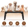 Dog Raised Bowls with 5 Adjustable Heights Stainless Steel Dog Bowls Foldable Double Bowl Feeder