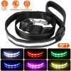 5FT Light Up Dog Leash LED Dog Leash with 9 Light Colors IPX7 Waterproof USB Rechargeable