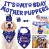 Dog Birthday Bandana Hat Set Cute Dog Birthday Banner Decoration with Hat Bandana Bowtie