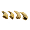 Water Buffalo Horn Core-Horn Inner Part-100% Natural; High Protein; Long-Lasting;Chews-2