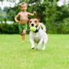 Wireless Electric Dog Fence Pet Shock Boundary Containment System Electric Training Collar
