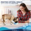 Actiwet Dog Food Hypo Lamb Formula 3.5oz/32