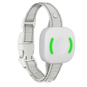 IP67 Waterproof Electric Dog Training Collar Rechargeable Dog Receiver with Light Beep Vibration Shock Fit