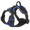 LED Dog Harness Rechargeable No Pull Lighted Dog Vest