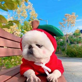 Cute Fruit Dog Clothes For Small Dogs Hoodies Winter Warm Fleece Pet Clothing Puppy Costume Coat Outfit (Option: 1 Style-XS)