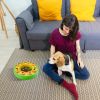 Slow Feeding Interactive Dog Food Bowl