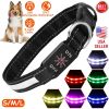 Waterproof Light Up LED Dog Collar