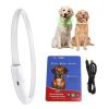 LED Dog Collar USB Rechargeable Multi-Color Lighting Safety Glow Dog Collar Night Walking