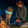 LED Dog Collar USB Rechargeable Multi-Color Lighting Safety Glow Dog Collar Night Walking