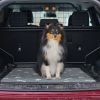 2Pcs Washable Pet Pee Pads For Puppy Dogs Reusable Mats Machine Washable
