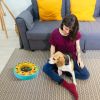 Slow Feeding Interactive Dog Food Bowl
