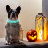 LED Dog Collar USB Rechargeable Multi-Color Lighting Safety Glow Dog Collar Night Walking