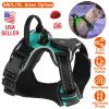 LED Dog Harness Rechargeable No Pull Lighted Dog Vest