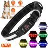Waterproof Light Up LED Dog Collar