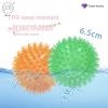 Dog Vocal Toys Puppy Spike Toy Small Dog Spike Pet Molar