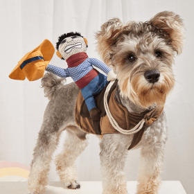 Cowboy Rider Pet Costume, Funny Dog Costume For Small Medium Dogs, (Color: Mixed Color, size: S)