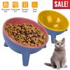 Small Elevated Dog Food Bowl