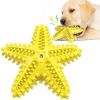 Sea Star Shaped Dog Toothbrush with Sound Pet Teeth Grinding Toy