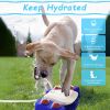 Dog Water Fountain Multifunctional Automatic Pet Water Dispenser Outdoor Step-on Activated Sprinkler Shower Fun