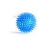 Dog Vocal Toys Puppy Spike Toy Small Dog Spike Pet Molar