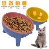 Small Elevated Dog Food Bowl