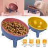 Small Elevated Dog Food Bowl