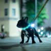 LED Dog Collar USB Rechargeable Multi-Color Lighting Safety Glow Dog Collar Night Walking